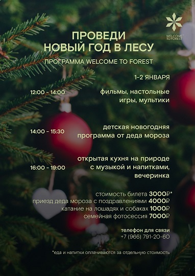 Все в лес! В Лес Чудес!