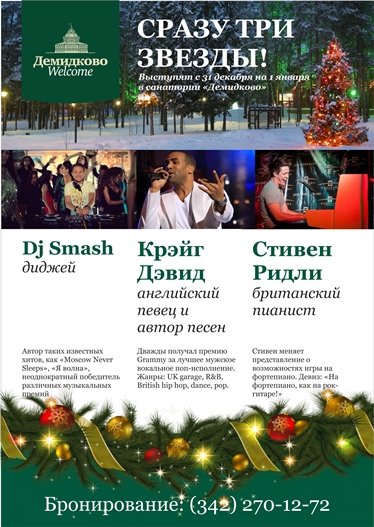 На Новый год в "Демидково"!